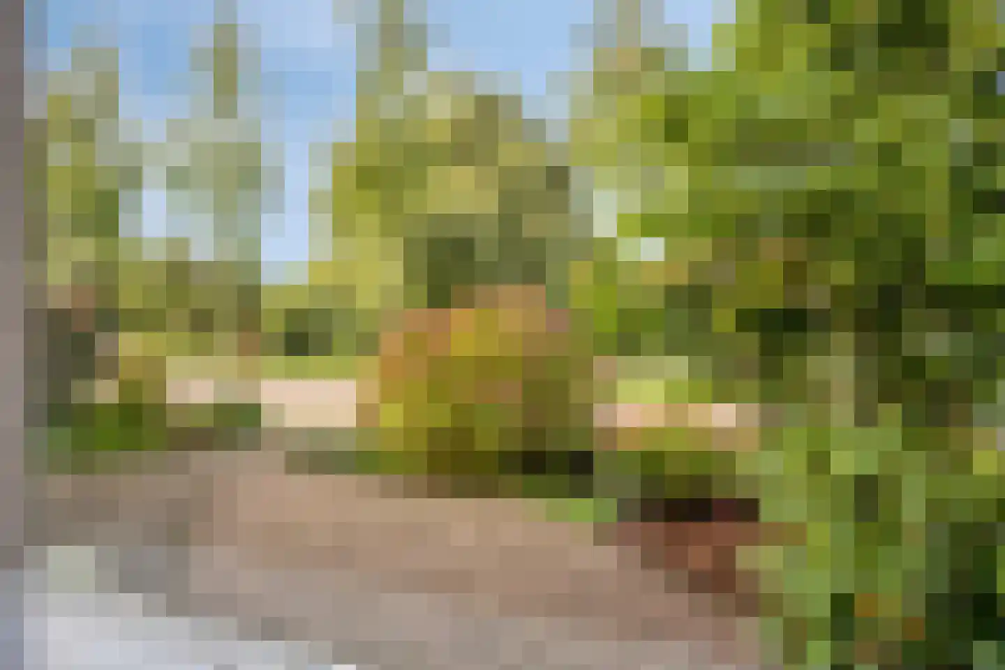 Willem de Zwijgerlaan 16 Doesburg thumbnail 25