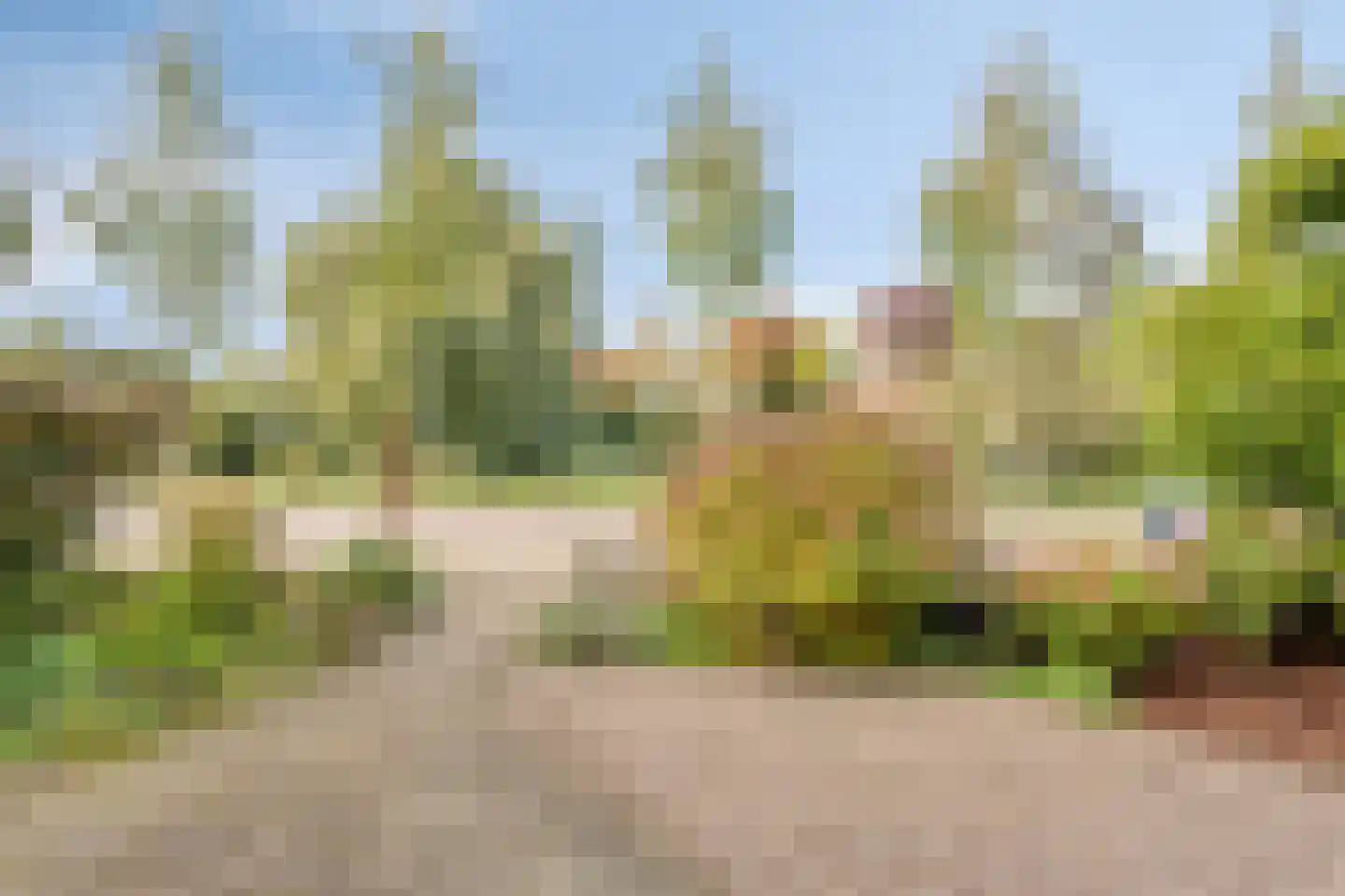 Willem de Zwijgerlaan 16 Doesburg thumbnail 4