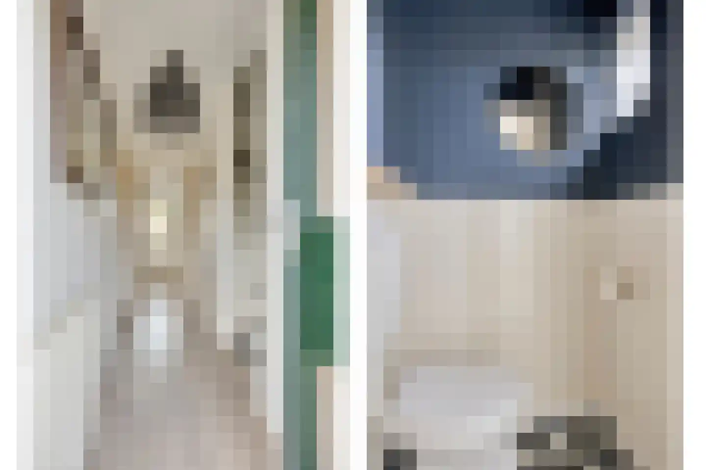 Willem de Zwijgerlaan 16 Doesburg thumbnail 5