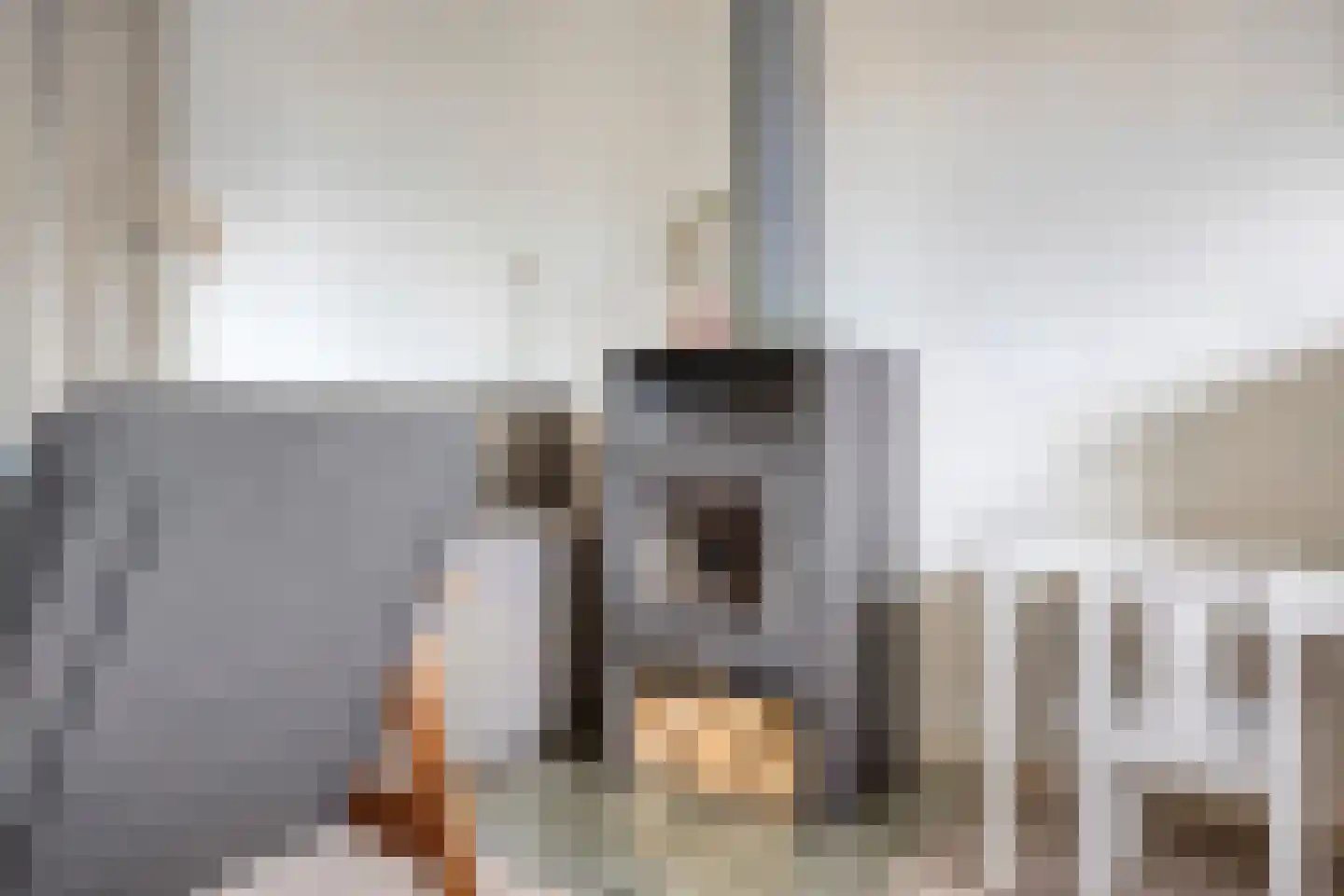 Willem de Zwijgerlaan 16 Doesburg thumbnail 8