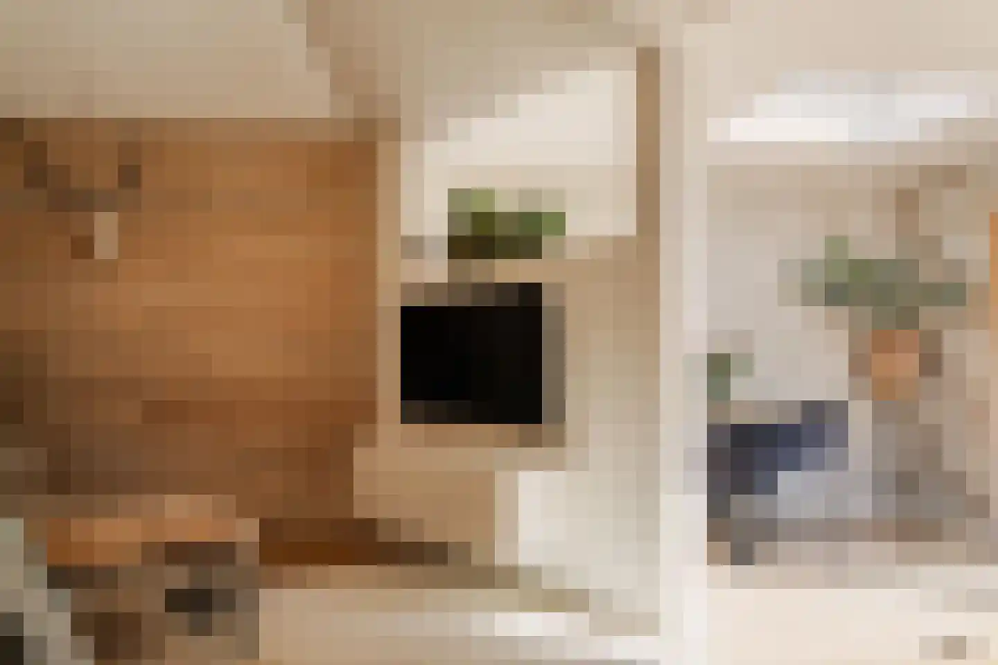 Willem de Zwijgerlaan 16 Santpoort-Zuid thumbnail 21