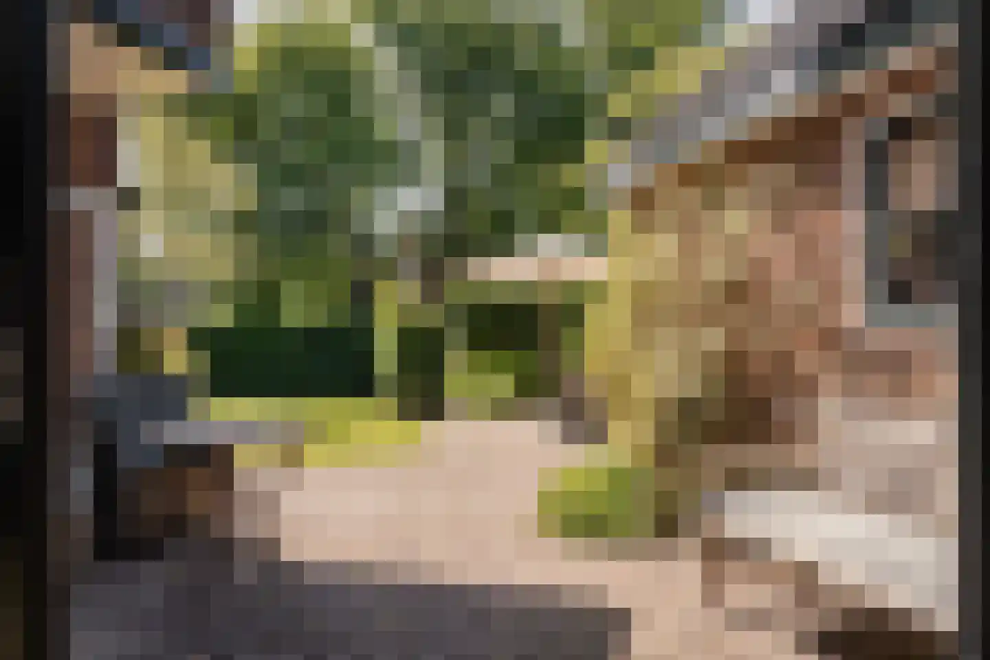 Willem de Zwijgerlaan 16 Santpoort-Zuid thumbnail 22