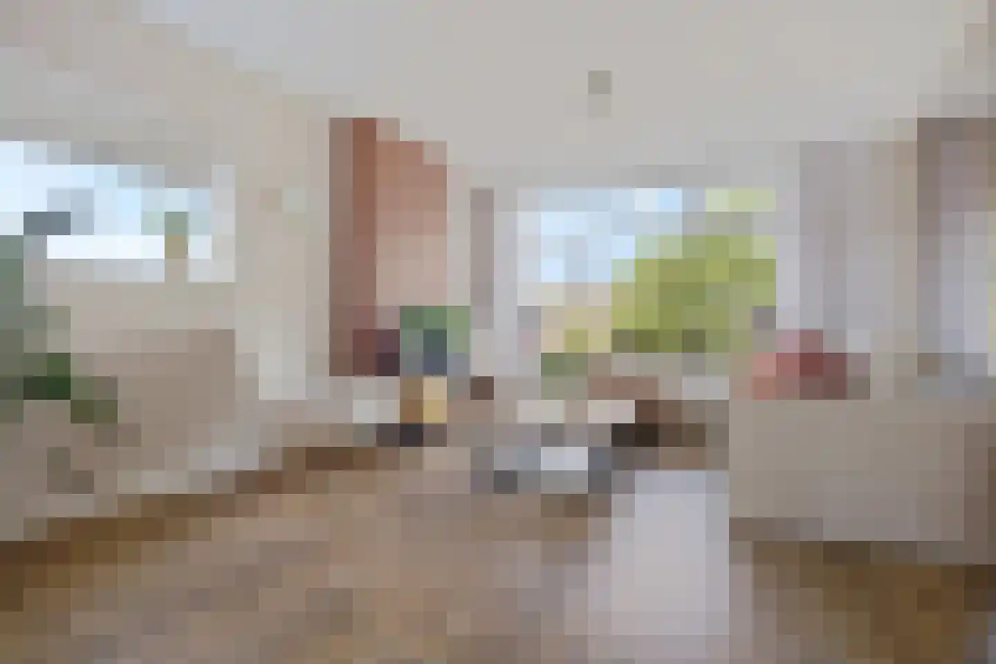 Willem de Zwijgerlaan 160 Alkmaar thumbnail 11