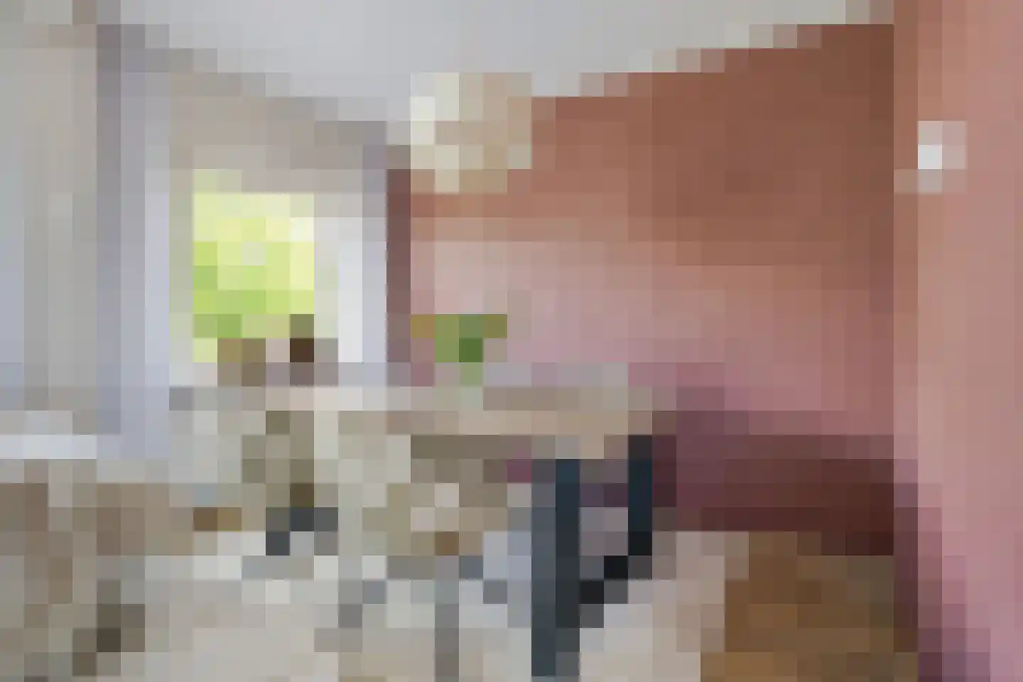 Willem de Zwijgerlaan 160 Alkmaar thumbnail 12