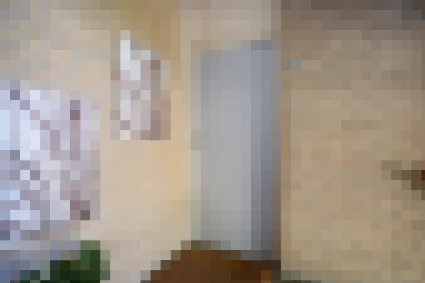 Willem de Zwijgerlaan 160 Alkmaar thumbnail 6