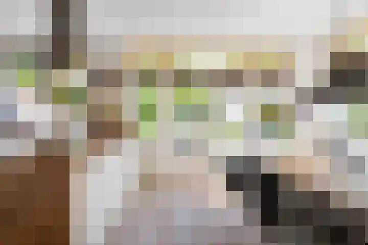 Willem de Zwijgerlaan 17 Santpoort-Zuid thumbnail 12