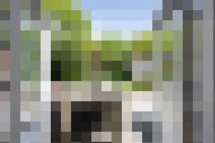 Willem de Zwijgerlaan 17 Santpoort-Zuid thumbnail 13