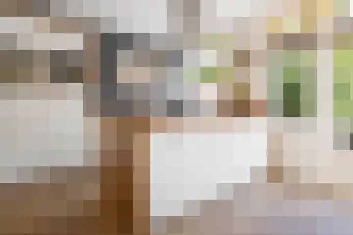Willem de Zwijgerlaan 17 Santpoort-Zuid thumbnail 14