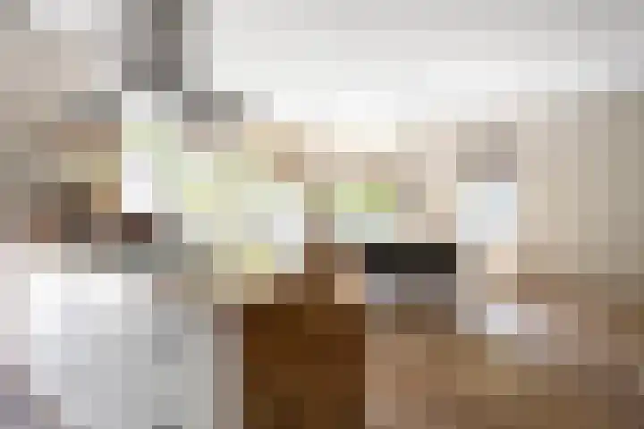 Willem de Zwijgerlaan 17 Santpoort-Zuid thumbnail 16