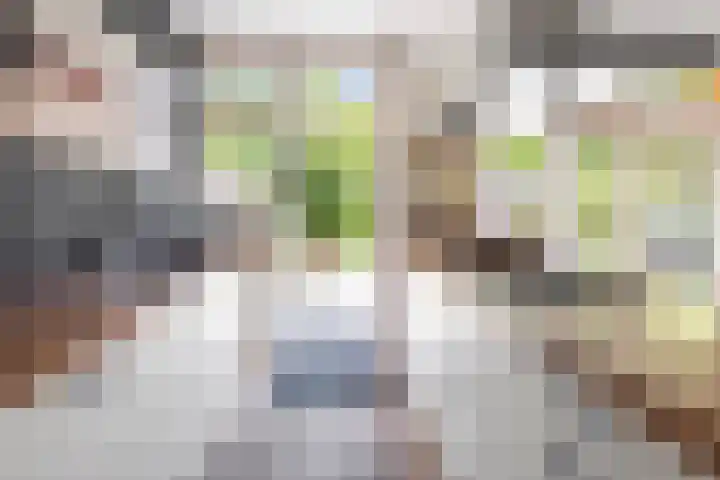 Willem de Zwijgerlaan 17 Santpoort-Zuid thumbnail 17