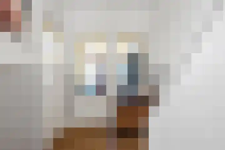 Willem de Zwijgerlaan 17 Santpoort-Zuid thumbnail 19