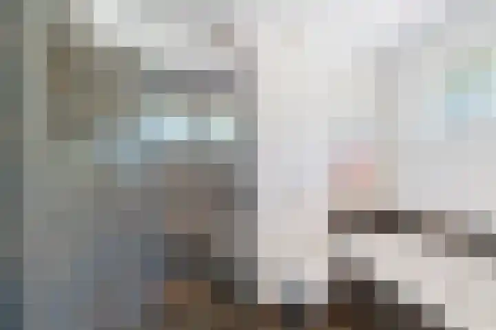 Willem de Zwijgerlaan 17 Santpoort-Zuid thumbnail 25