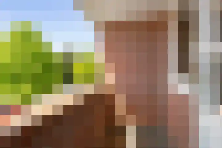 Willem de Zwijgerlaan 17 Santpoort-Zuid thumbnail 30