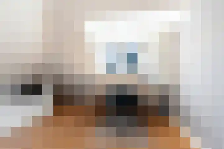 Willem de Zwijgerlaan 17 Santpoort-Zuid thumbnail 37