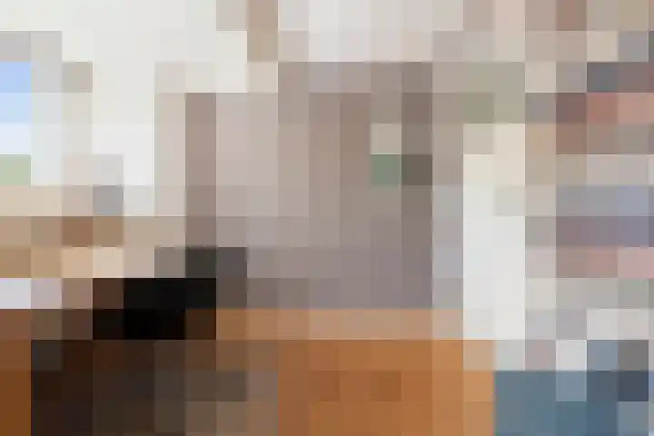 Willem de Zwijgerlaan 17 Santpoort-Zuid thumbnail 39