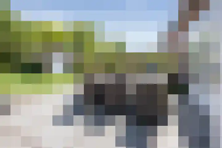 Willem de Zwijgerlaan 17 Santpoort-Zuid thumbnail 44