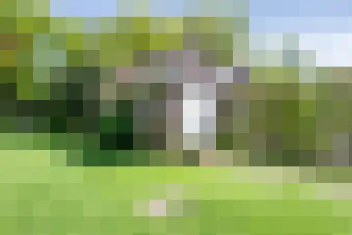Willem de Zwijgerlaan 17 Santpoort-Zuid thumbnail 47