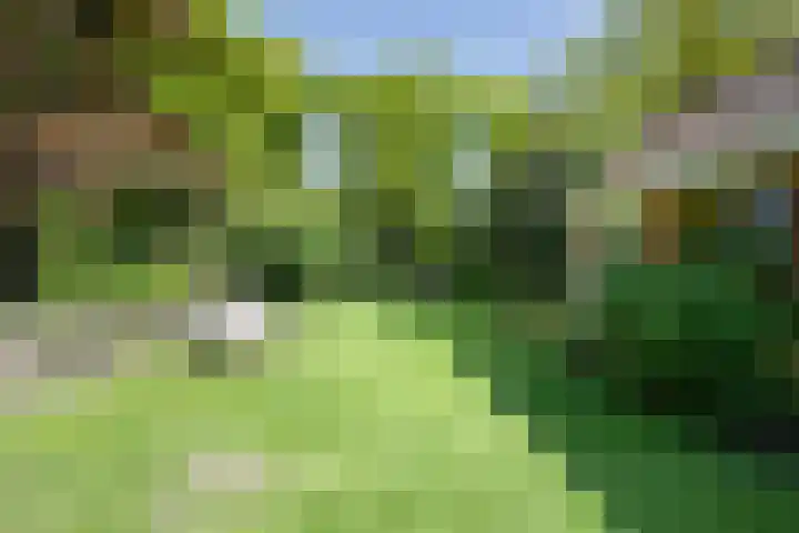Willem de Zwijgerlaan 17 Santpoort-Zuid thumbnail 48