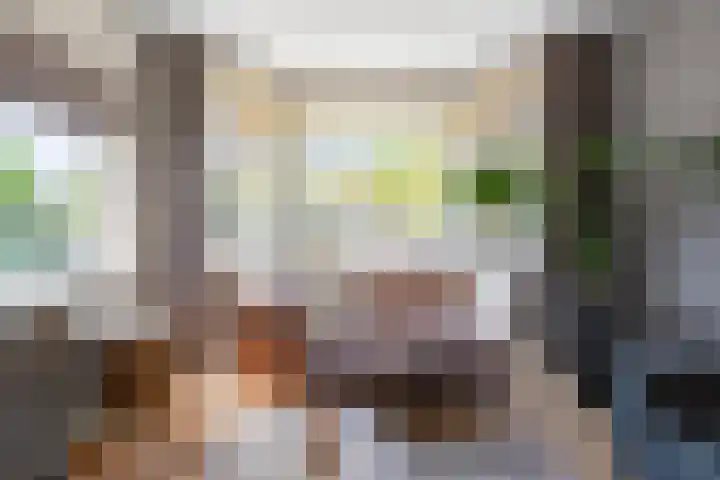Willem de Zwijgerlaan 17 Santpoort-Zuid thumbnail 5
