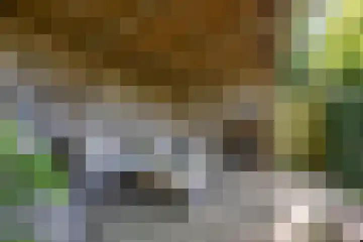 Willem de Zwijgerlaan 17 Santpoort-Zuid thumbnail 51
