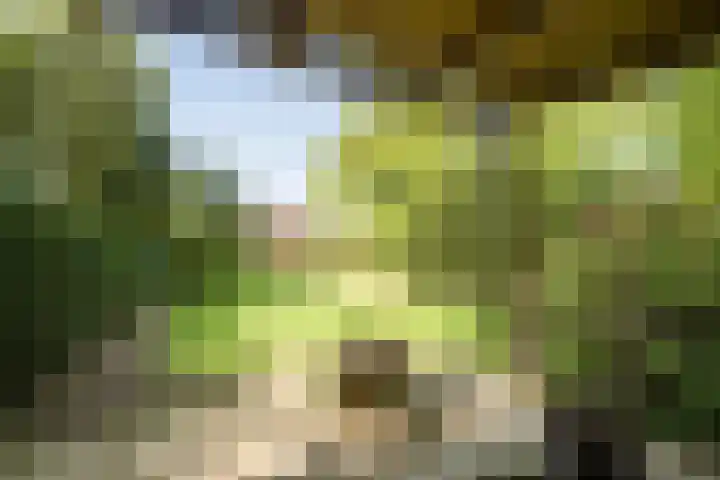 Willem de Zwijgerlaan 17 Santpoort-Zuid thumbnail 52