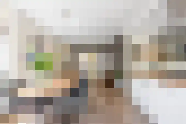 Willem de Zwijgerlaan 17 Santpoort-Zuid thumbnail 9