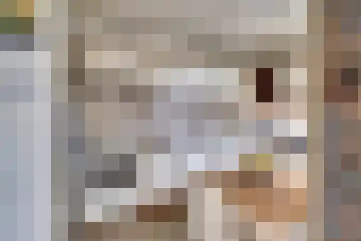 Willem de Zwijgerlaan 17 Soest thumbnail 11