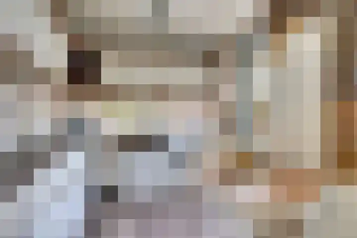 Willem de Zwijgerlaan 17 Soest thumbnail 13