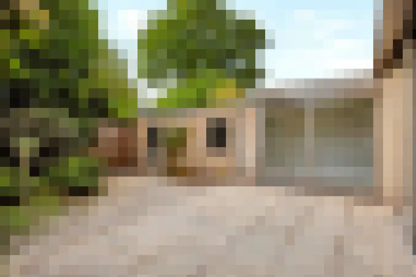Willem de Zwijgerlaan 17 Soest thumbnail 20