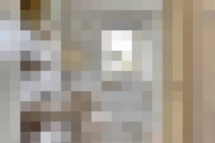Willem de Zwijgerlaan 17 Soest thumbnail 24