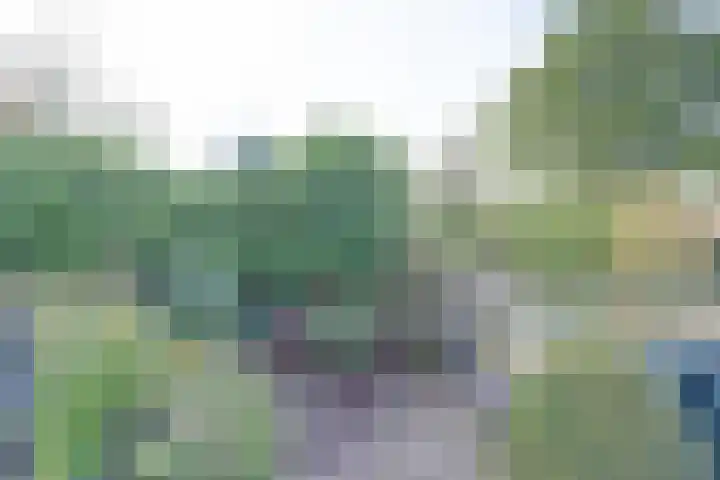 Willem de Zwijgerlaan 17 Soest thumbnail 4