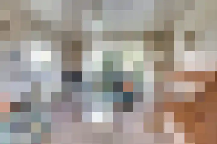 Willem de Zwijgerlaan 17 Soest thumbnail 6