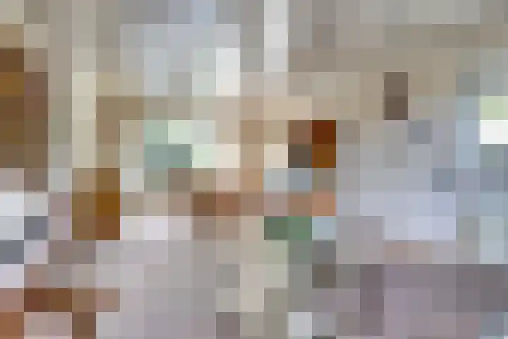 Willem de Zwijgerlaan 17 Soest thumbnail 8