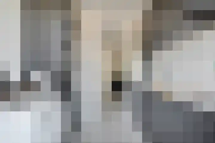 Willem de Zwijgerlaan 177 Alkmaar thumbnail 18