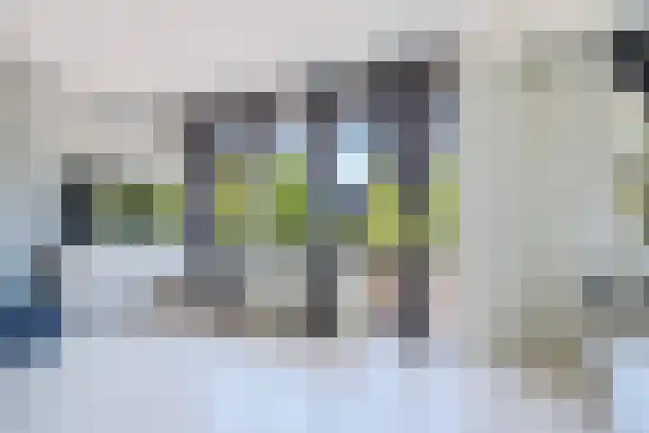Willem de Zwijgerlaan 177 Alkmaar thumbnail 4