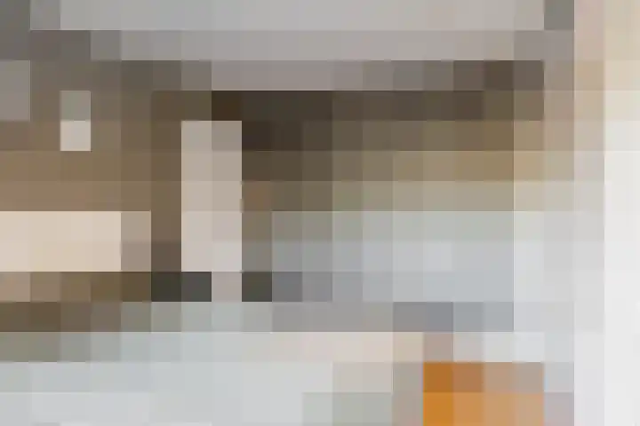 Willem de Zwijgerlaan 18 Maartensdijk thumbnail 18