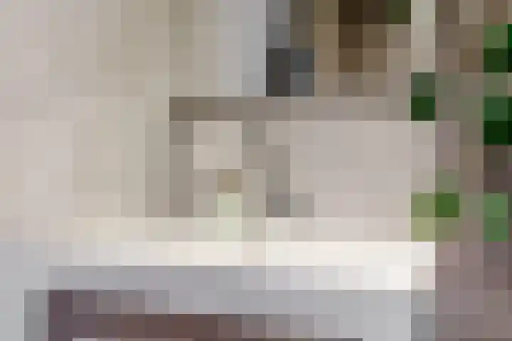 Willem de Zwijgerlaan 18 Maartensdijk thumbnail 24