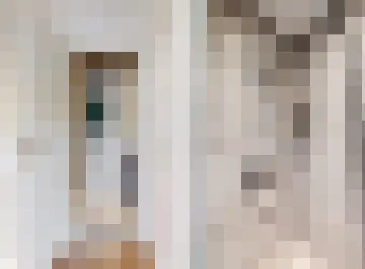 Willem de Zwijgerlaan 18 Maartensdijk thumbnail 25