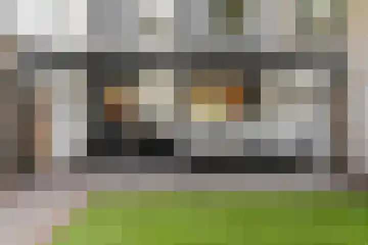 Willem de Zwijgerlaan 18 Maartensdijk thumbnail 30