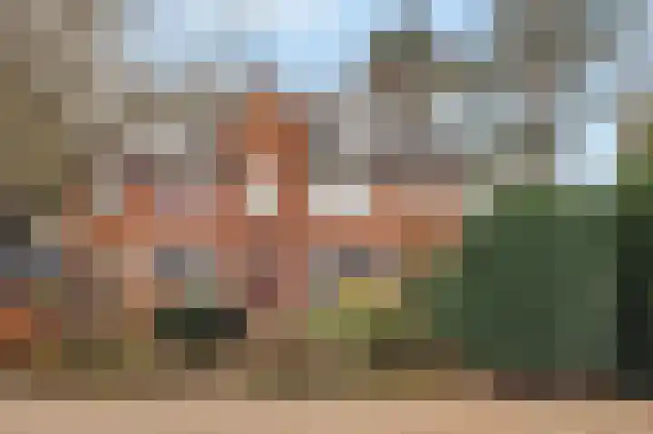 Willem de Zwijgerlaan 18 Santpoort-Zuid