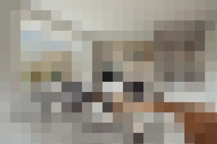Willem de Zwijgerlaan 18 Santpoort-Zuid thumbnail 14