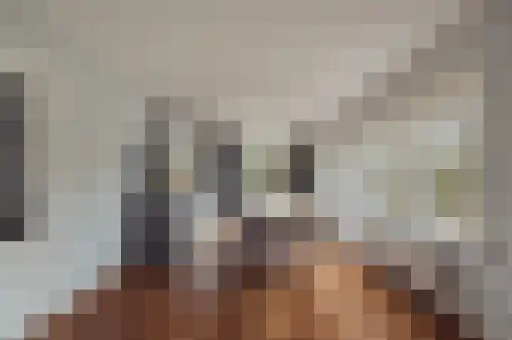 Willem de Zwijgerlaan 18 Santpoort-Zuid thumbnail 21