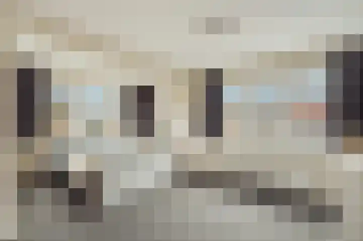 Willem de Zwijgerlaan 18 Santpoort-Zuid thumbnail 33