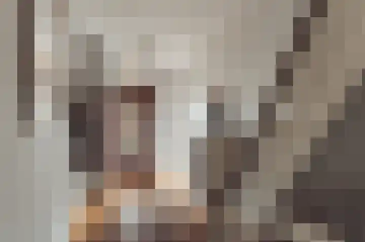 Willem de Zwijgerlaan 18 Santpoort-Zuid thumbnail 7