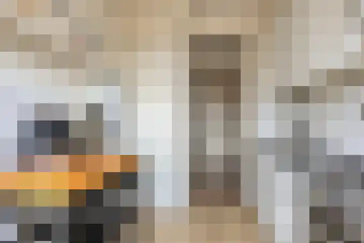 Willem de Zwijgerlaan 188 Alkmaar thumbnail 12