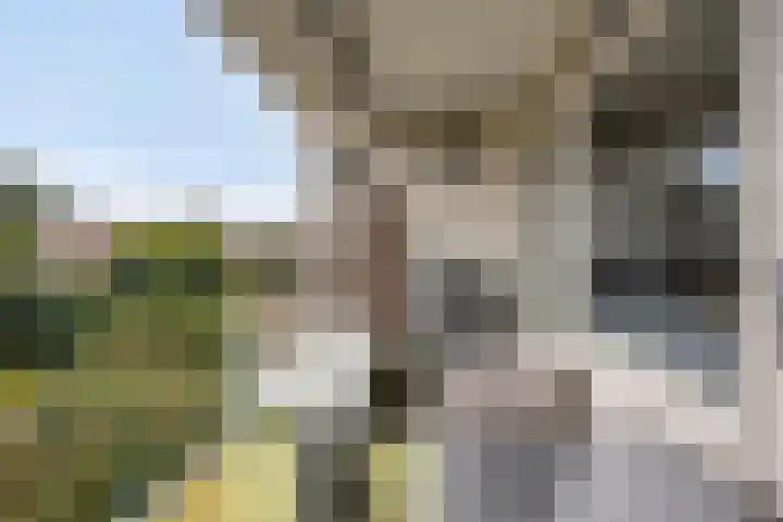 Willem de Zwijgerlaan 188 Alkmaar thumbnail 13