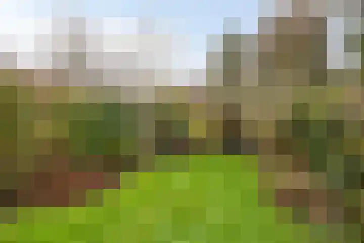 Willem de Zwijgerlaan 188 Alkmaar thumbnail 21