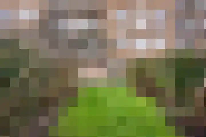 Willem de Zwijgerlaan 188 Alkmaar thumbnail 22