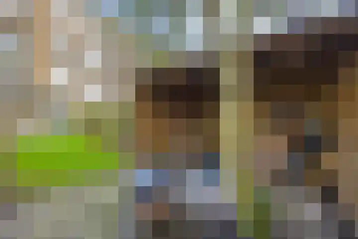 Willem de Zwijgerlaan 188 Alkmaar thumbnail 25
