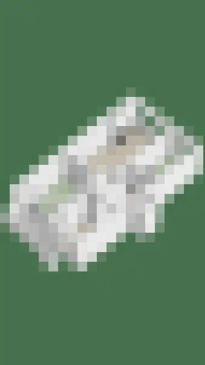 Willem de Zwijgerlaan 188 Alkmaar thumbnail 32